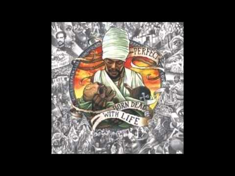 Perfect--Rasta Dubplate