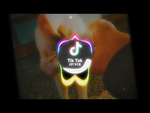 DJ BACK TO YOU VIRAL TIKTOK REMIX SANTUY 2020 FUNKY NIGHT