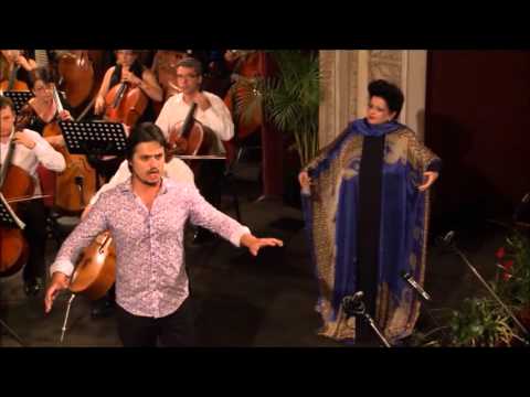 Donizetti L'ELISIR D'AMORE Una furtiva lagrima  IOAN HOTEA