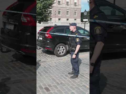 Palestinaaktivist försöker forcera polisens avspärrningar