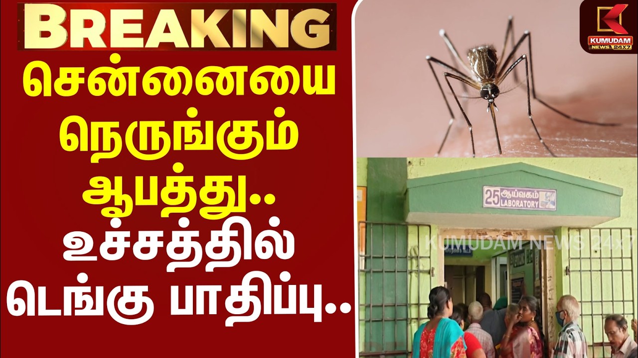 #BREAKING | Chennai | Dengue | சென்னையை நெருங்கும் ஆபத்து.. உச்சத்தில் டெங்கு பாதிப்பு...