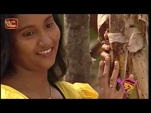 Suwanda Mal Renu - Iman Perera