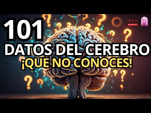 101 Things about the Human Brain You Don't Know