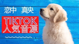 あの子の方が可愛いの！！ #jk #youtuber  #trending   #tiktok