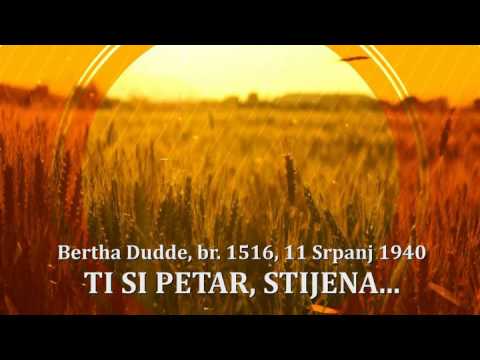 BD 1516 - TI SI PETAR, STIJENA...