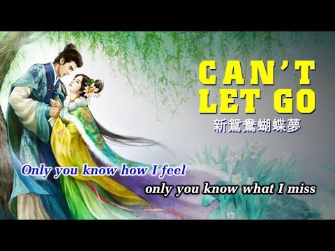 🎤 Can&#39;t Let Go, Mộng Uyên Ương Hồ Điệp (Karaoke) Tokyo Square
