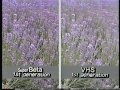 1985 Sony Super Betamax Vs VHS Promo Sales Tape
