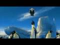 Happy Feet High School