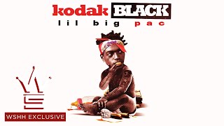 Kodak Black "Vibin In This Bih" Feat. Gucci Mane (WSHH Exclusive - Official Audio)