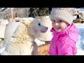 Nastya and Dad in a New Year's story about a family trip