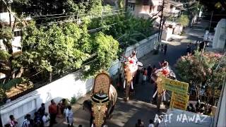 preview picture of video 'Pakal Pooram [ Ernakulam Siva Temple 24/01/2013 ]'
