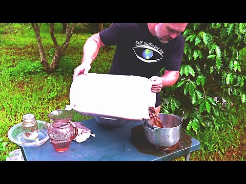 What Happens When You Cure Olives 4 YEARS in Brine?