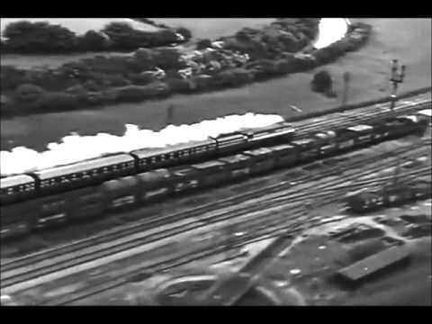 Coronation Scot video