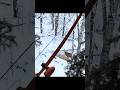 Very Perfect Whitetail Deer Hunting In Snow Archery Bowhunting Bucks Hunting Deerhunting Deer Snow