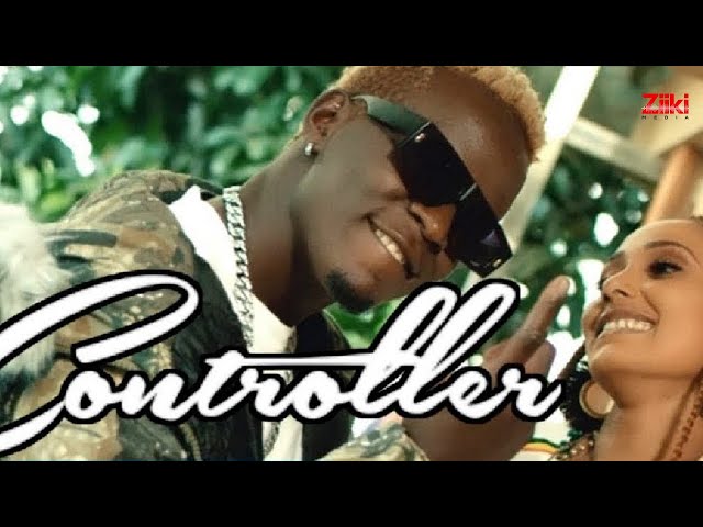 Controller von Willy Paul ((jetzt ansehen))