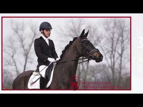 33 Sue Stute v. Spörcken - Estobar NRW