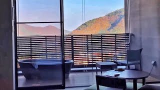 Hakone Vlog: Hakone Hotel Kowakien  ,Hakone Shrine ,Lake Ashi