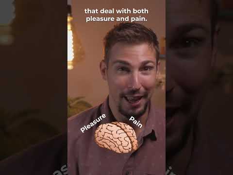 What Is Fentanyl? #fentanyl #drugabuse