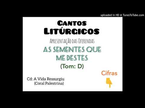 As Sementes Que Me Destes video