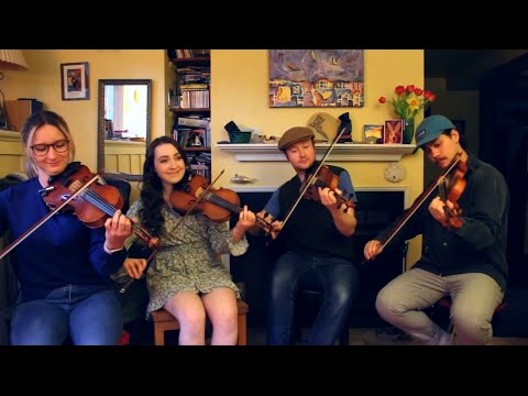 The Saltchuck Set- Fáilte - Celtic Fiddle Group -