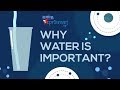 Importance Of Water In Life Importance Of Water