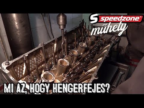 Te tudsz róla, hogy benned van-e parazita?? | Alga Egészség