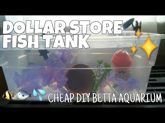 DOLLAR STORE FISH TANK - How to Make a Complete Betta Aquarium for Less Than $15