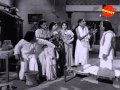 Kandavarundo 1972 Full Malayalam Movie