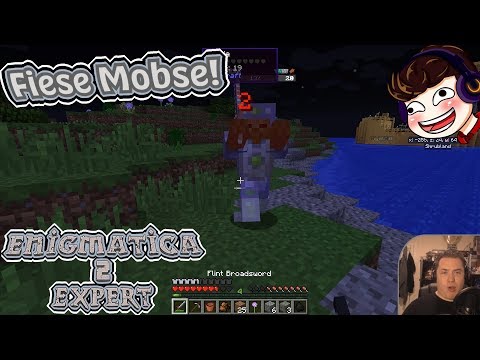 Meine temporäre Basis ⚙️ Let's play Minecraft Enigmatica 2 Expert [E02][German/Deutsch][1.12 modded]