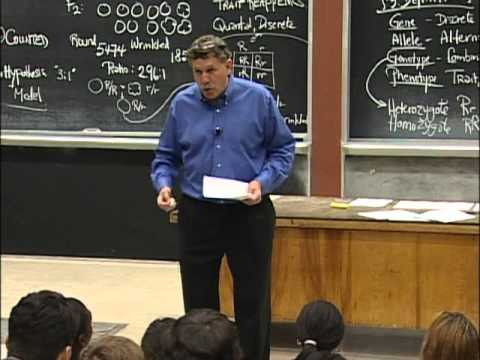 Mendel's Laws, excerpt 2 | MIT 7.01SC Fundamentals of Biology