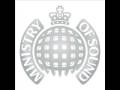 Into the Future (The Aston Shuffle Remix) - Bunny ...