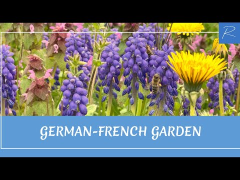 [4K] Experience the Beauty of Spring in German-French Garden| Vlog9 | 4K Virtual Walk  🇩🇪🇫🇷🌸☕️