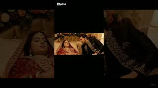 Download lagu 💞 Wedding Love Scene | Romantic Short Video | Couple Moments 💍 mp3