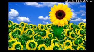 Warmness - Psyberdelic