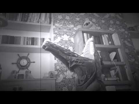 Raising funds for Mr Punch at The Opera