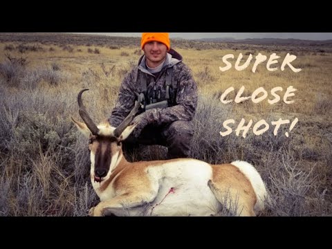 SHOOTING AN ANTELOPE AT 20 YARDS KILLSHOT: ANTELOPE HUNT 2018