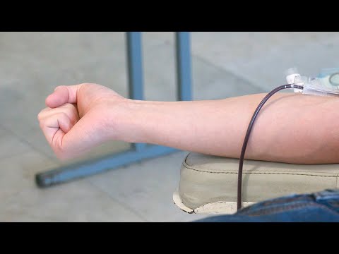 Более 100 студентов приняли участие в акции по сдаче крови видео