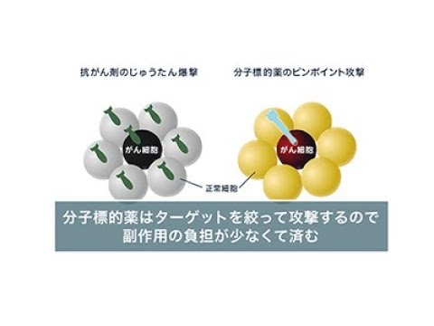 『ココカラ』Research13【肺がんを封じ込める治療薬を作る】/金沢大学研究紹介動画