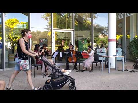 Mozart Flute and Strings Quartet in D - KV 285