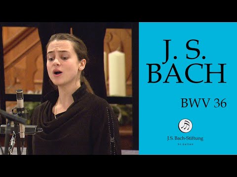 J. S. Bach - Aria "Auch mit gedämpften, schwachen Stimmen" Cantata BWV 36 (J. S. Bach Foundation)