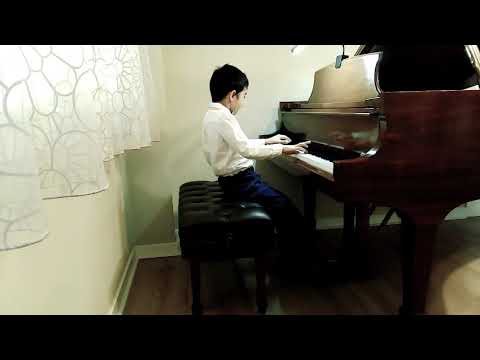 Schumann Kinderszenen No.3 | Played By Howl Maciuca