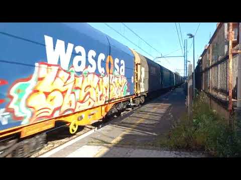 E652 152 al traino di un treno merci in transito nella stazione di Gallese in Teverina.