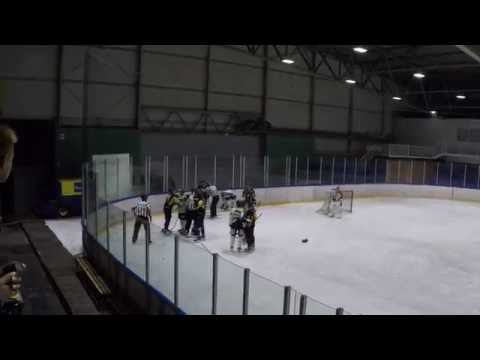 Pretep na tekmi HK ECE CELJE : KHL MEDVEŠČAK ZAGREB 1.10.2016