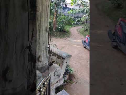 Good evening friends ❤️❤️🥰🥰🥰🔥🔥👍👍