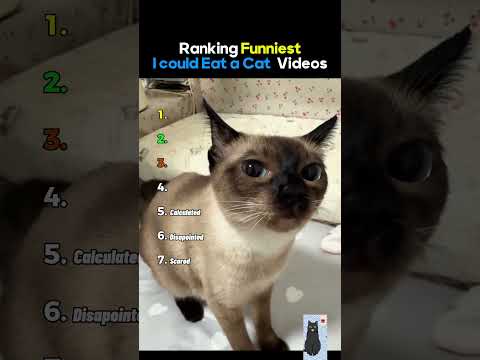 Ranking Funniest I could Eat a cat core.....(p.31)