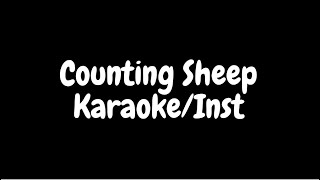 Counting Sheep Karaoke/Inst