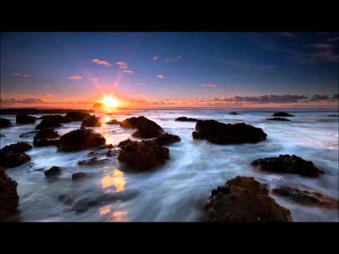 Venom One & Tomas Heredia - Moments