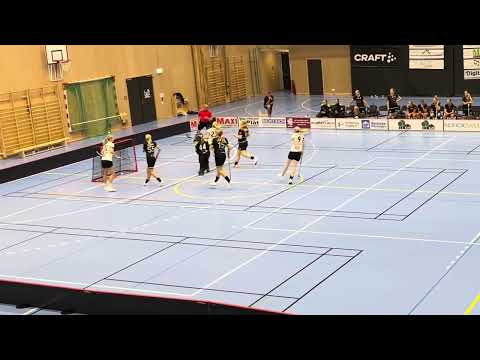 Highlights Träningsmatch Damer Åstorp/Kvidinge IBS - Värnamo IK 5-3