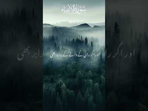 surah anbiya ayat 47 urdu translation///surah al anbiya ayat no 47🥰🥰