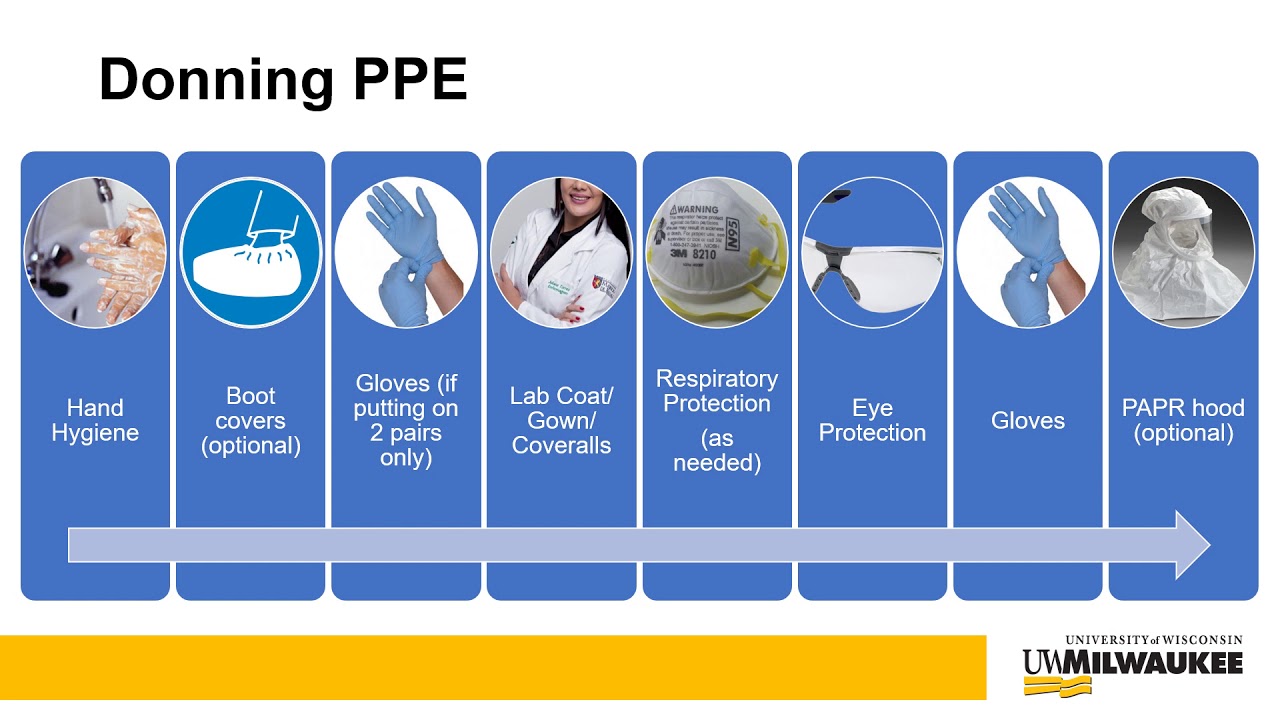 Module 5 PPE